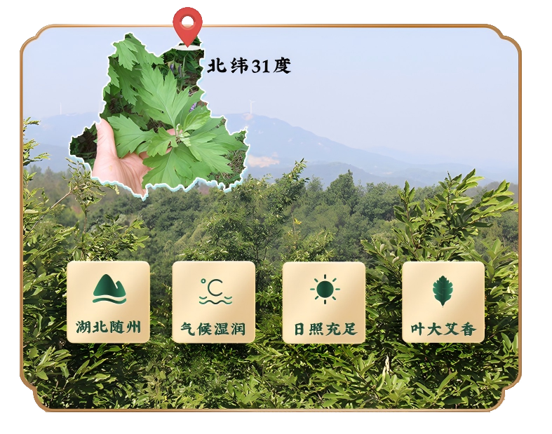 kappframework bdsilu(1)(1)